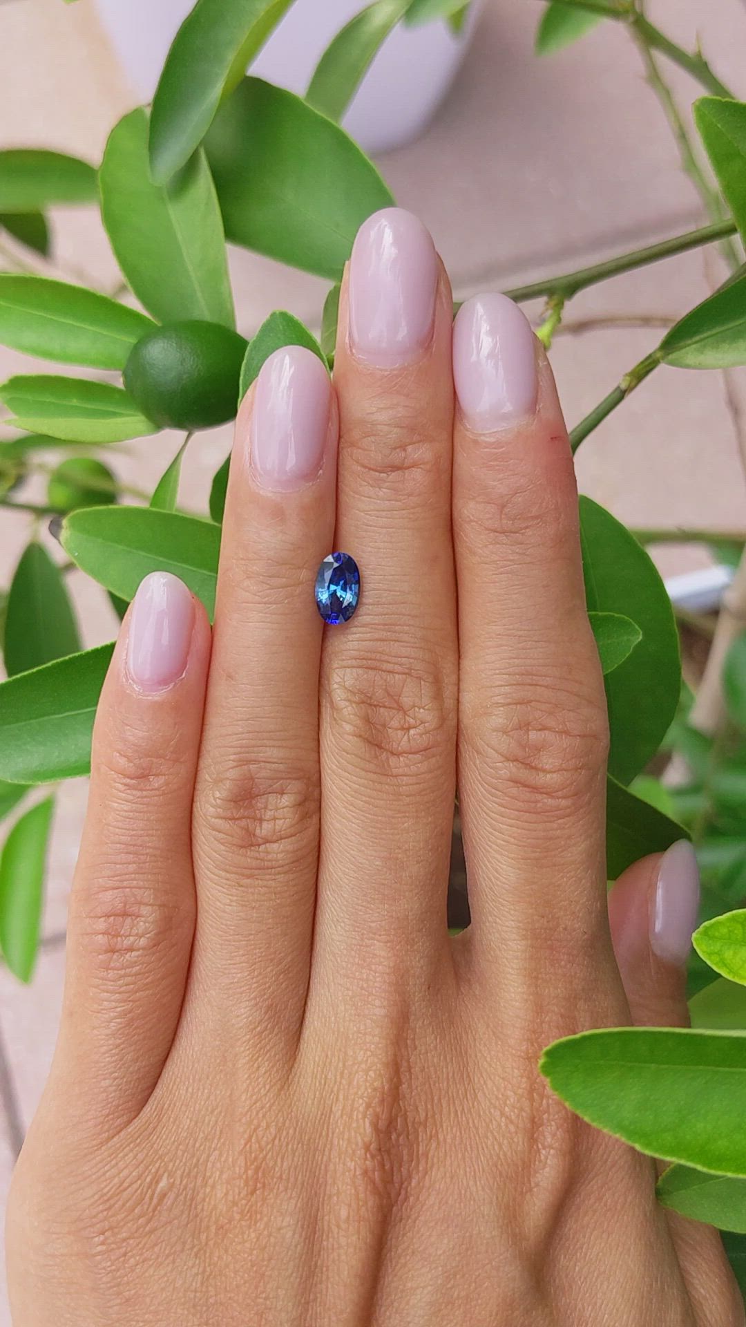 1.12 Ct. Blue Sapphire from Ceylon (Sri Lanka) Size Video