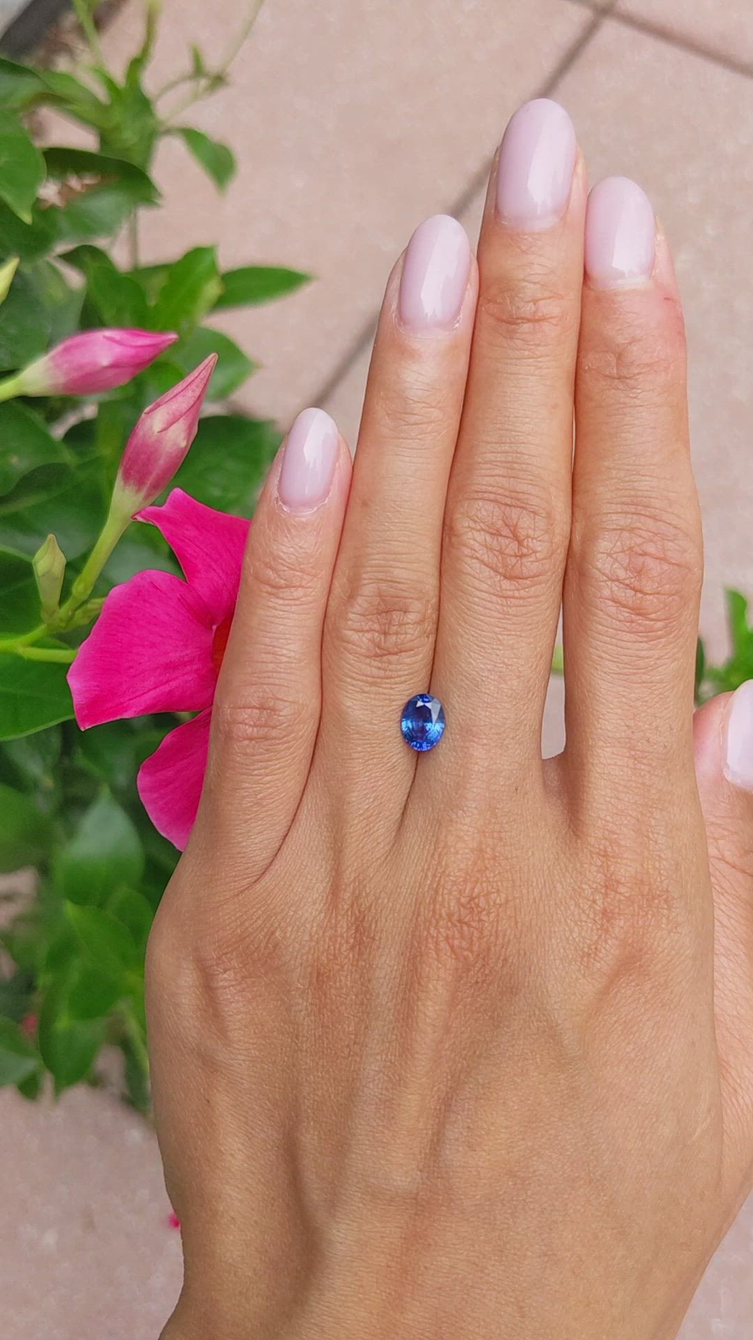 1.26 Ct. Blue Sapphire from Ceylon (Sri Lanka) Size Video
