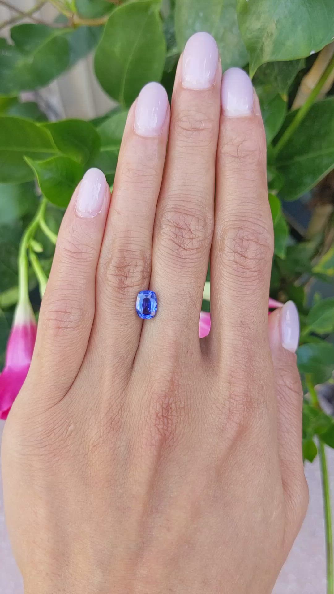 1.55 Ct. Blue Sapphire from Ceylon (Sri Lanka) Size Video