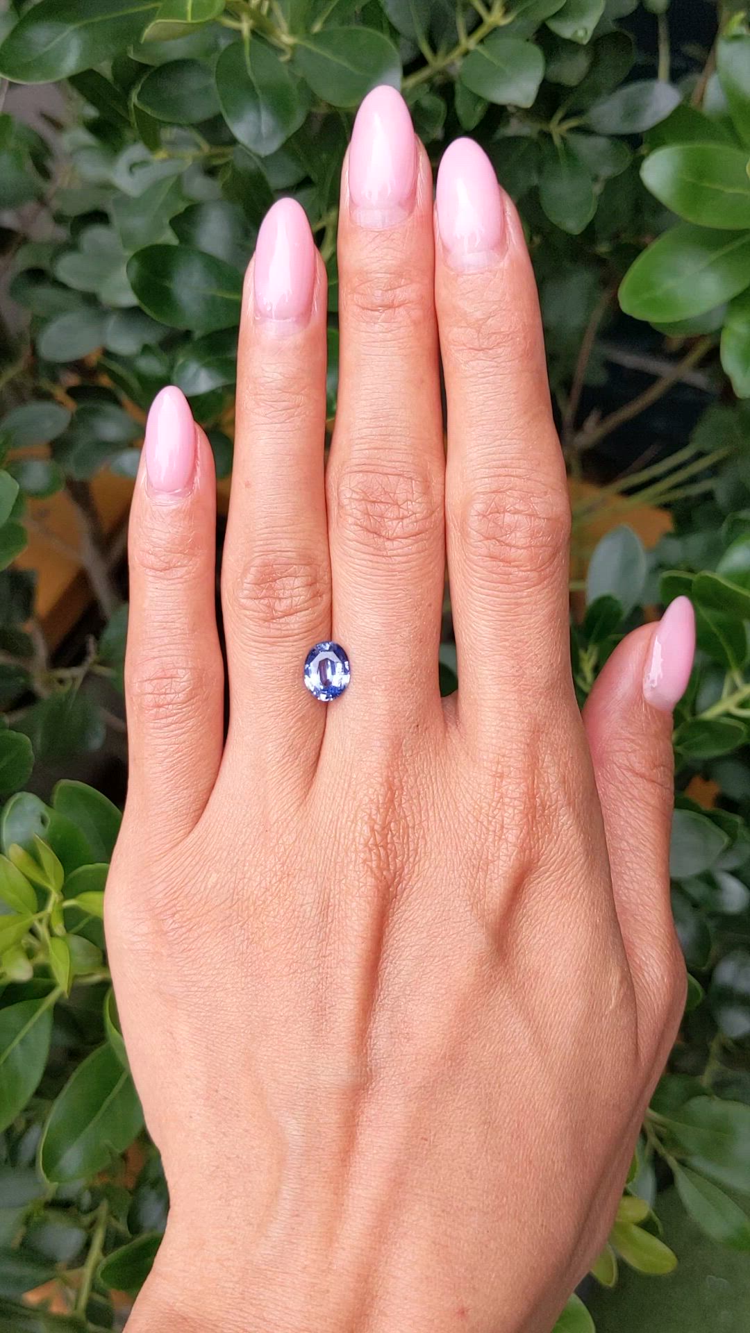1.72 Ct. Blue Sapphire from Ceylon (Sri Lanka) Size Video