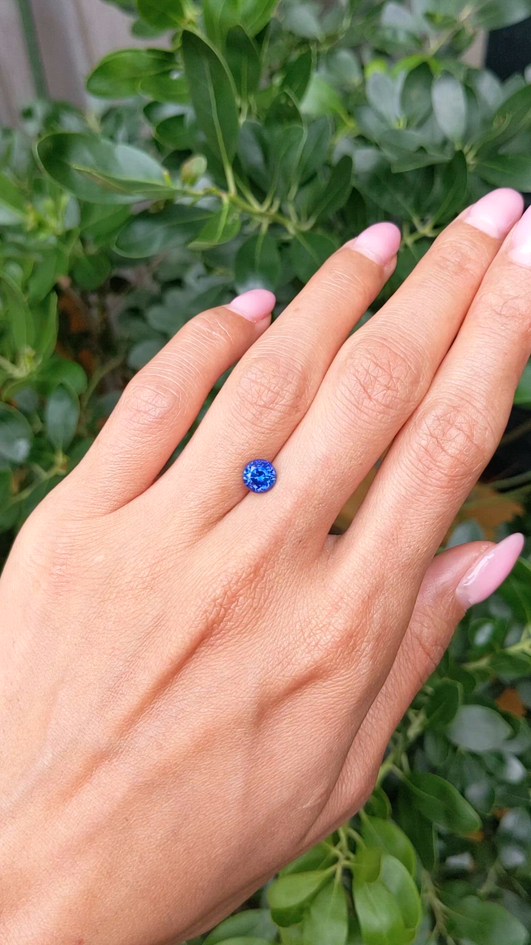 1.30 Ct. Blue Sapphire from Ceylon (Sri Lanka) Size Video