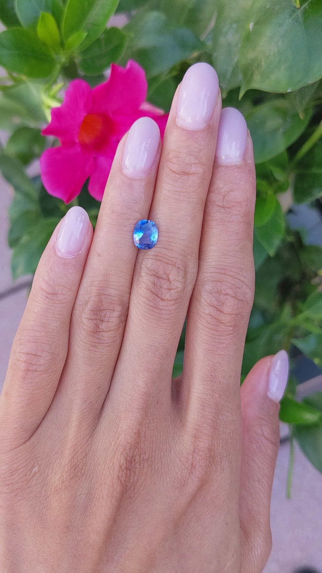 1.23 Ct. Blue Sapphire from Ceylon (Sri Lanka) Size Video