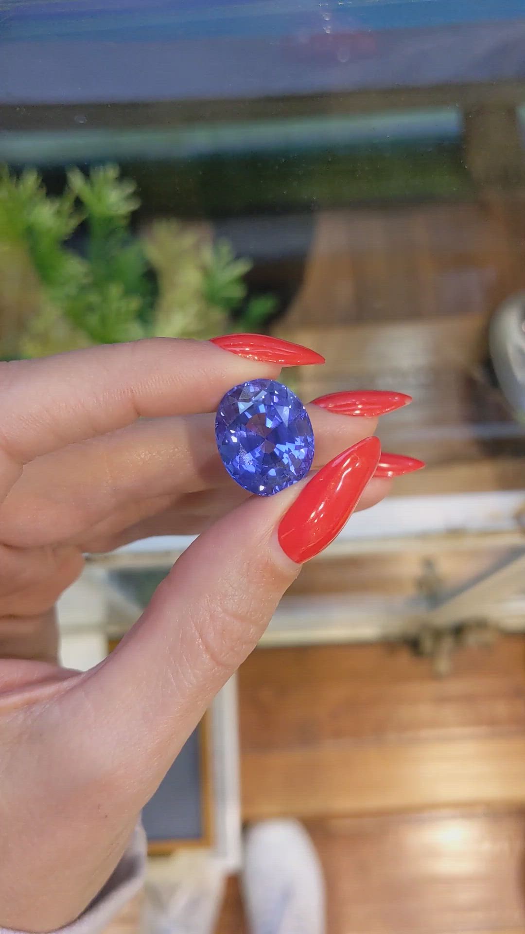 22.00 Ct. Blue Sapphire from Ceylon (Sri Lanka) Size Video