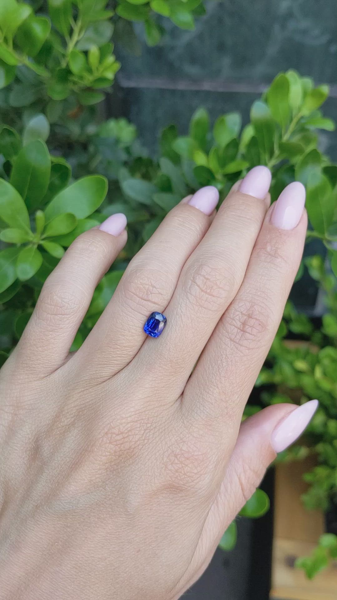 1.26 Ct. Blue Sapphire from Ceylon (Sri Lanka) Size Video