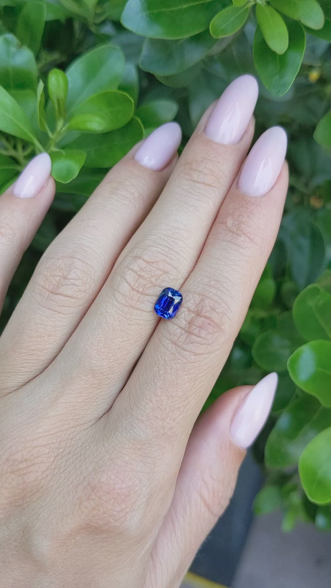 1.26 Ct. Blue Sapphire from Ceylon (Sri Lanka) Size Video