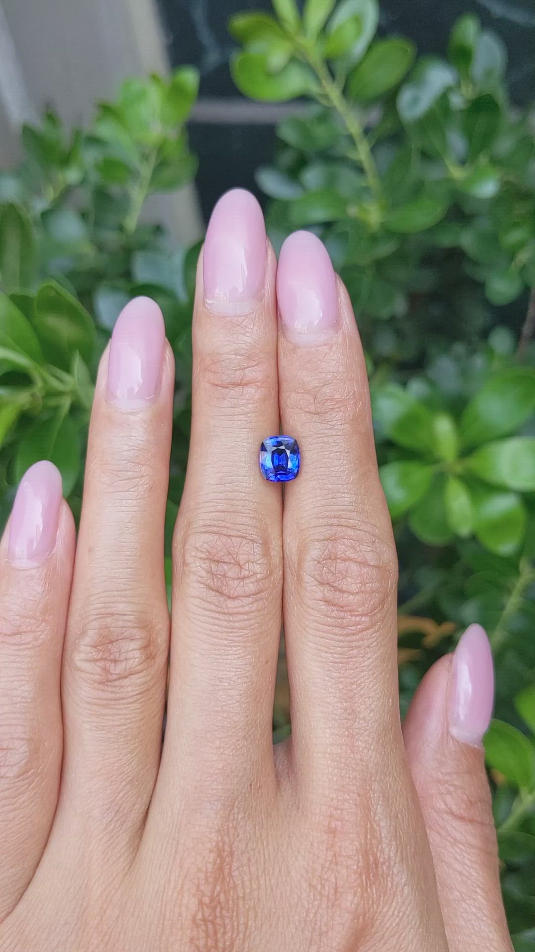 1.73 Ct. Blue Sapphire from Ceylon (Sri Lanka) Size Video
