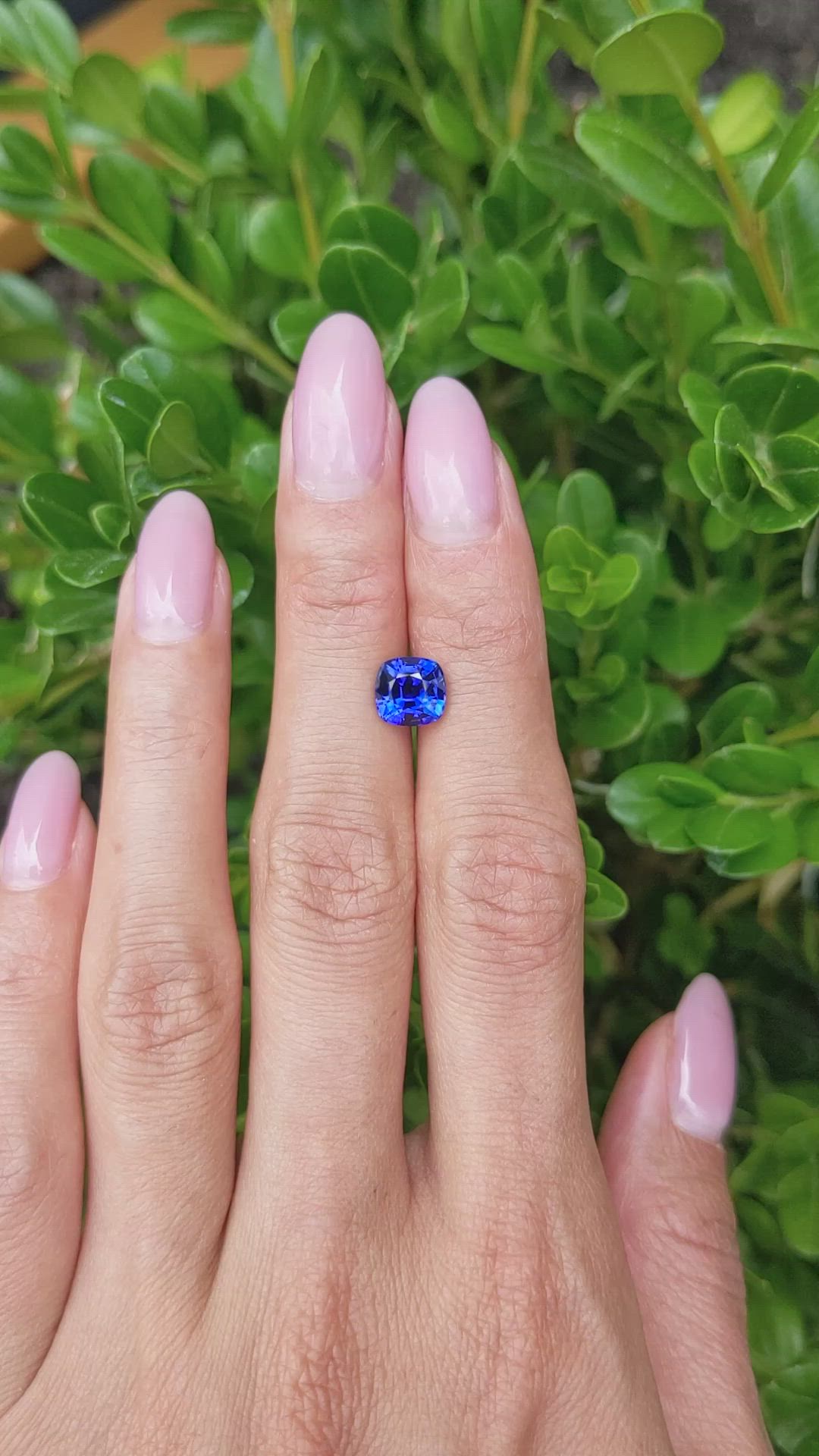 2.27 Ct. Blue Sapphire from Ceylon (Sri Lanka) Size Video