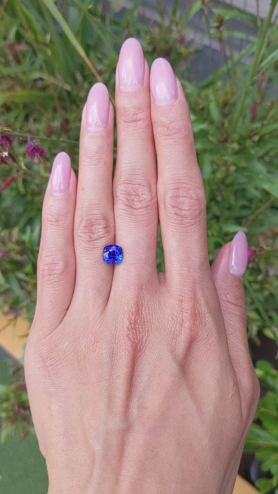 2.27 Ct. Blue Sapphire from Ceylon (Sri Lanka) Size Video
