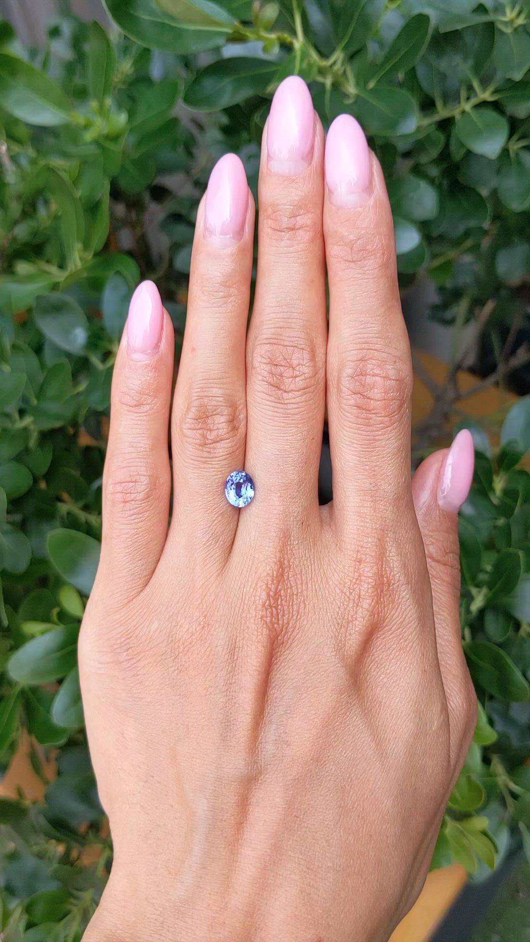 1.58 Ct. Blue Sapphire from Ceylon (Sri Lanka) Size Video