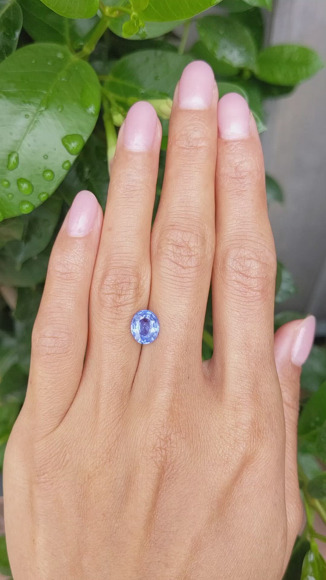 2.21 Ct. Blue Sapphire from Ceylon (Sri Lanka) Size Video