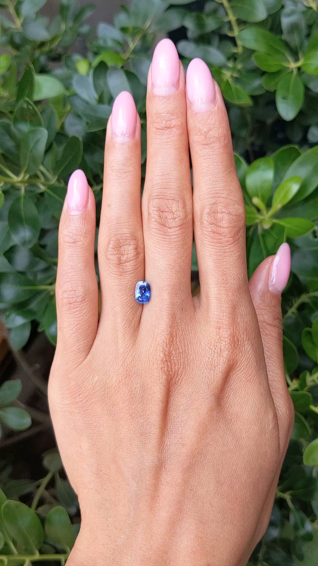 1.36 Ct. Blue Sapphire from Ceylon (Sri Lanka) Size Video