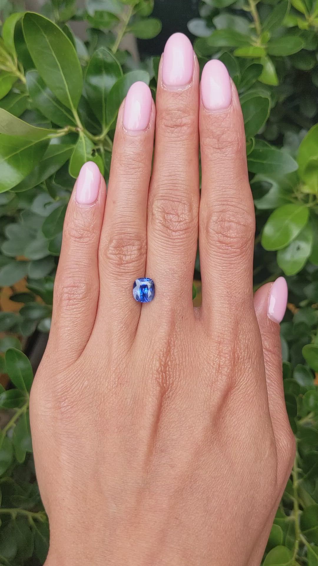 2.21 Ct. Blue Sapphire from Ceylon (Sri Lanka) Size Video