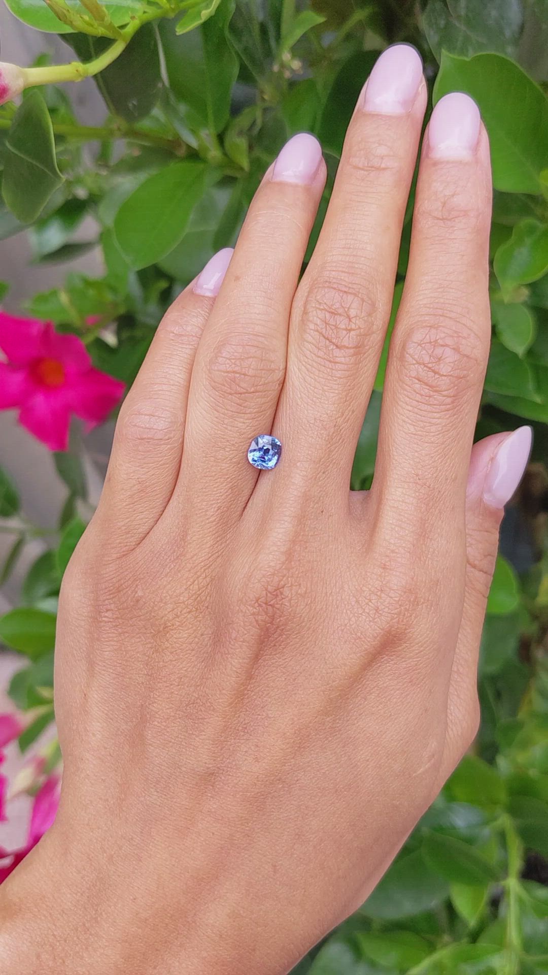 1.15 Ct. Blue Sapphire from Ceylon (Sri Lanka) Size Video