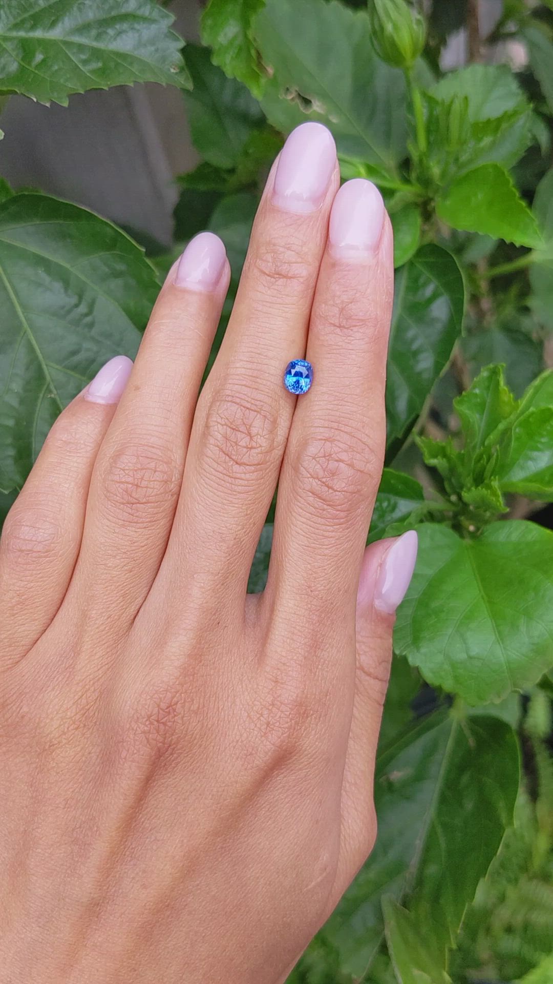 1.13 Ct. Blue Sapphire from Ceylon (Sri Lanka) Size Video