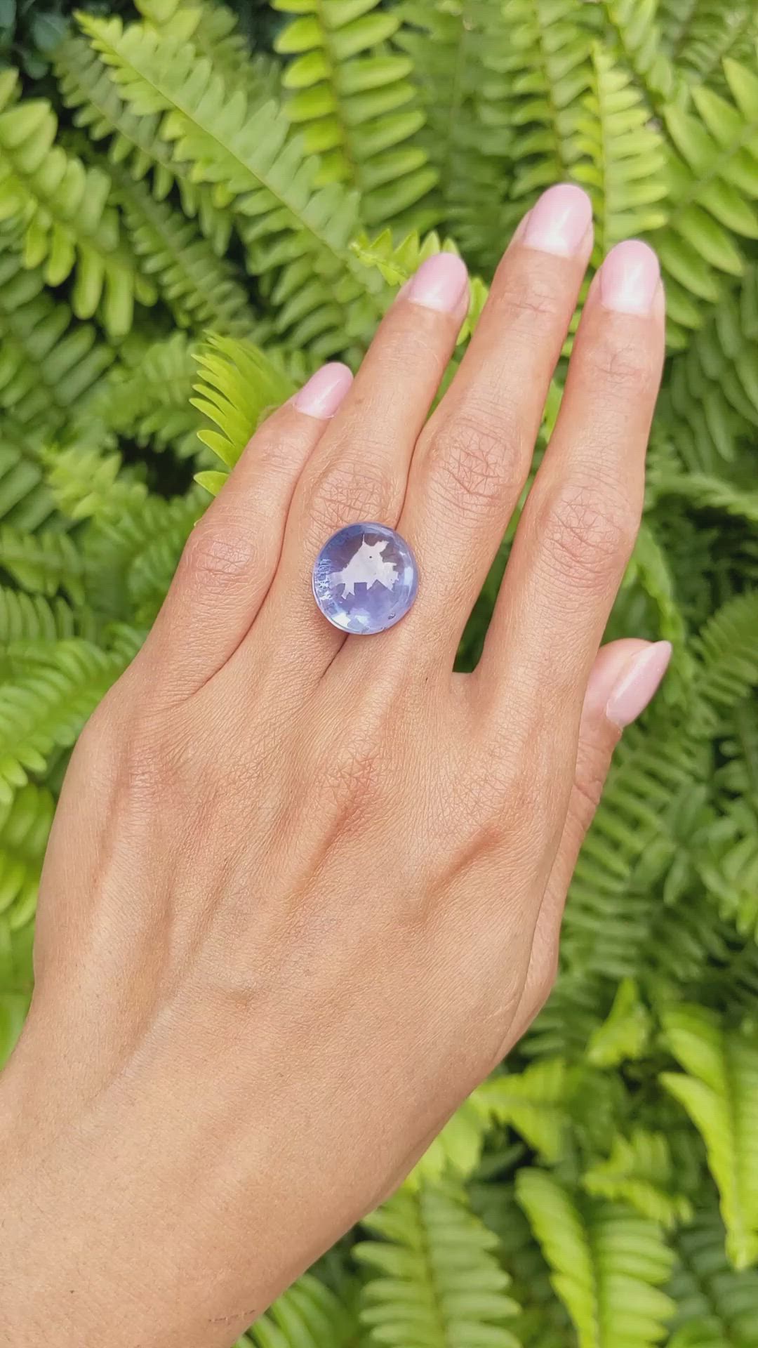 26.26 Ct. Blue Cabochon Sapphire from Ceylon (Sri Lanka) Size Video