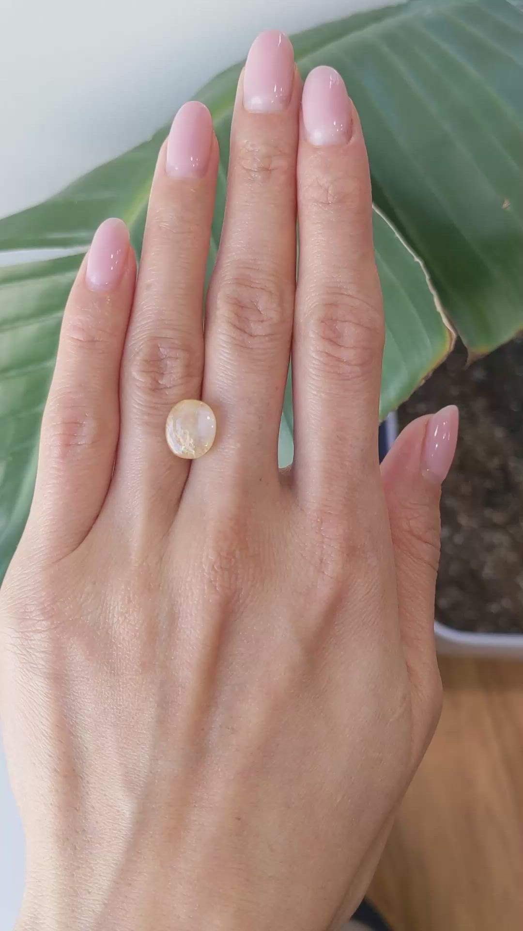 5.83 Ct. Yellow Cabochon Sapphire from Ceylon (Sri Lanka) Size Video