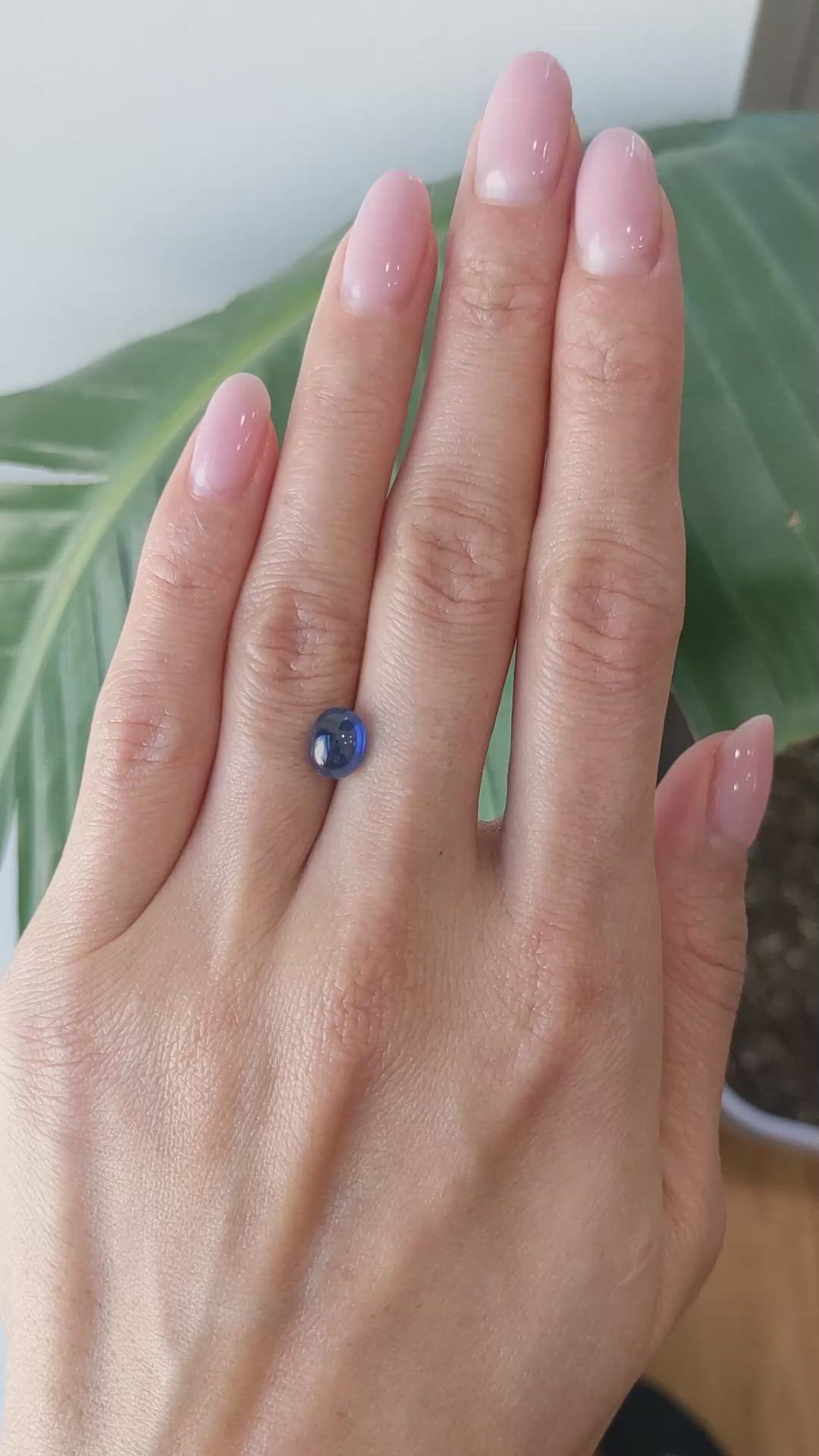 2.17 Ct. Blue Cabochon Sapphire from Ceylon (Sri Lanka) Size Video