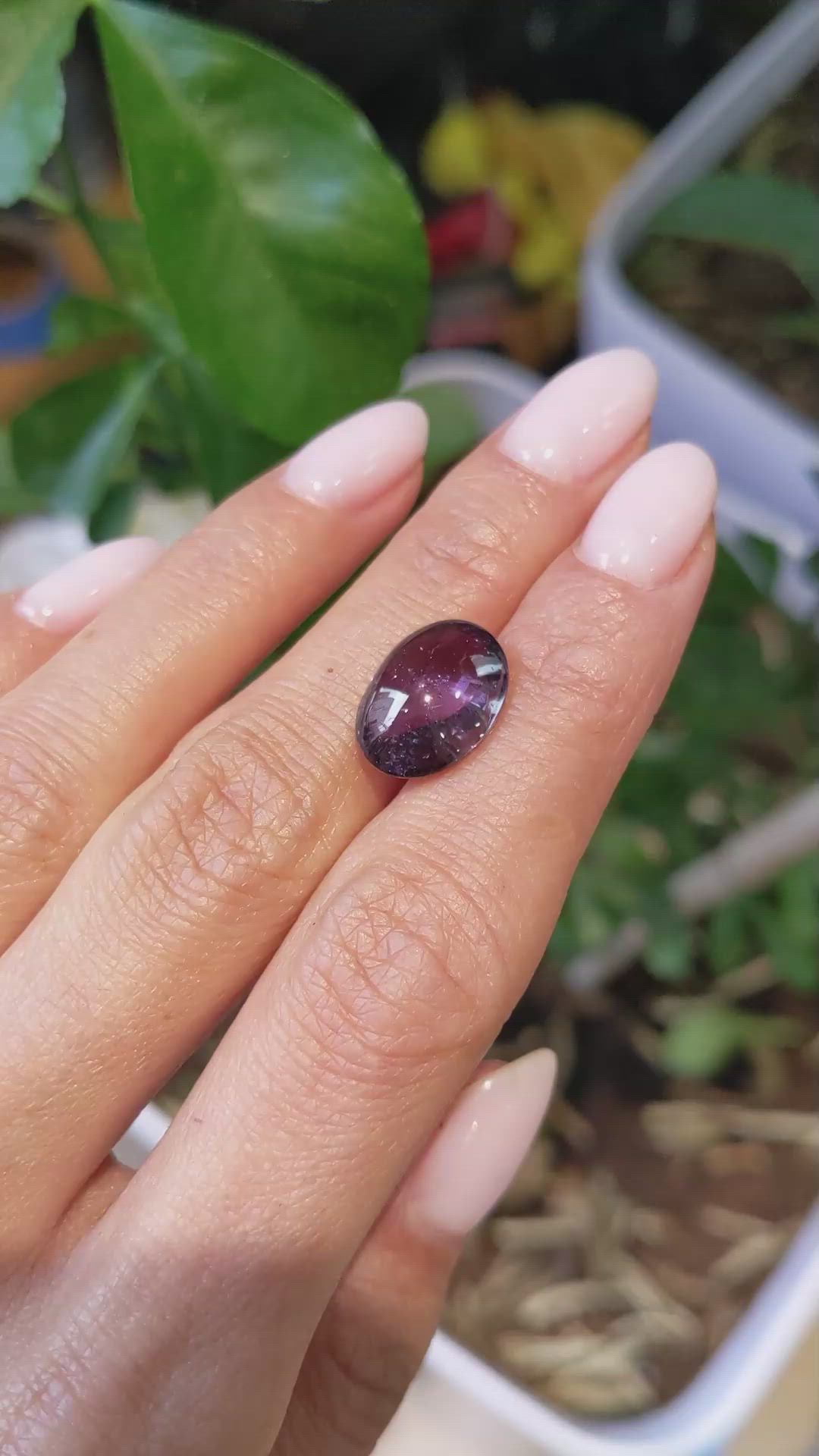 7.01 Ct. Purple Cabochon Sapphire from Ceylon (Sri Lanka) Size Video