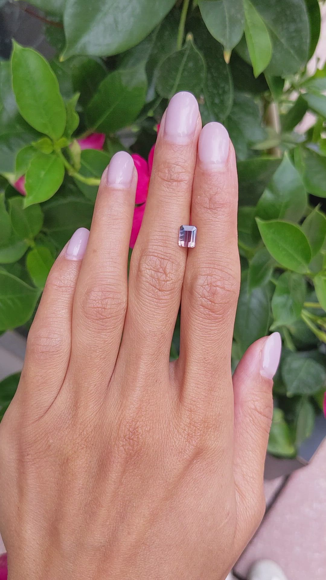 1.27 Ct. Bi Color Sapphire from Ceylon (Sri Lanka) Size Video