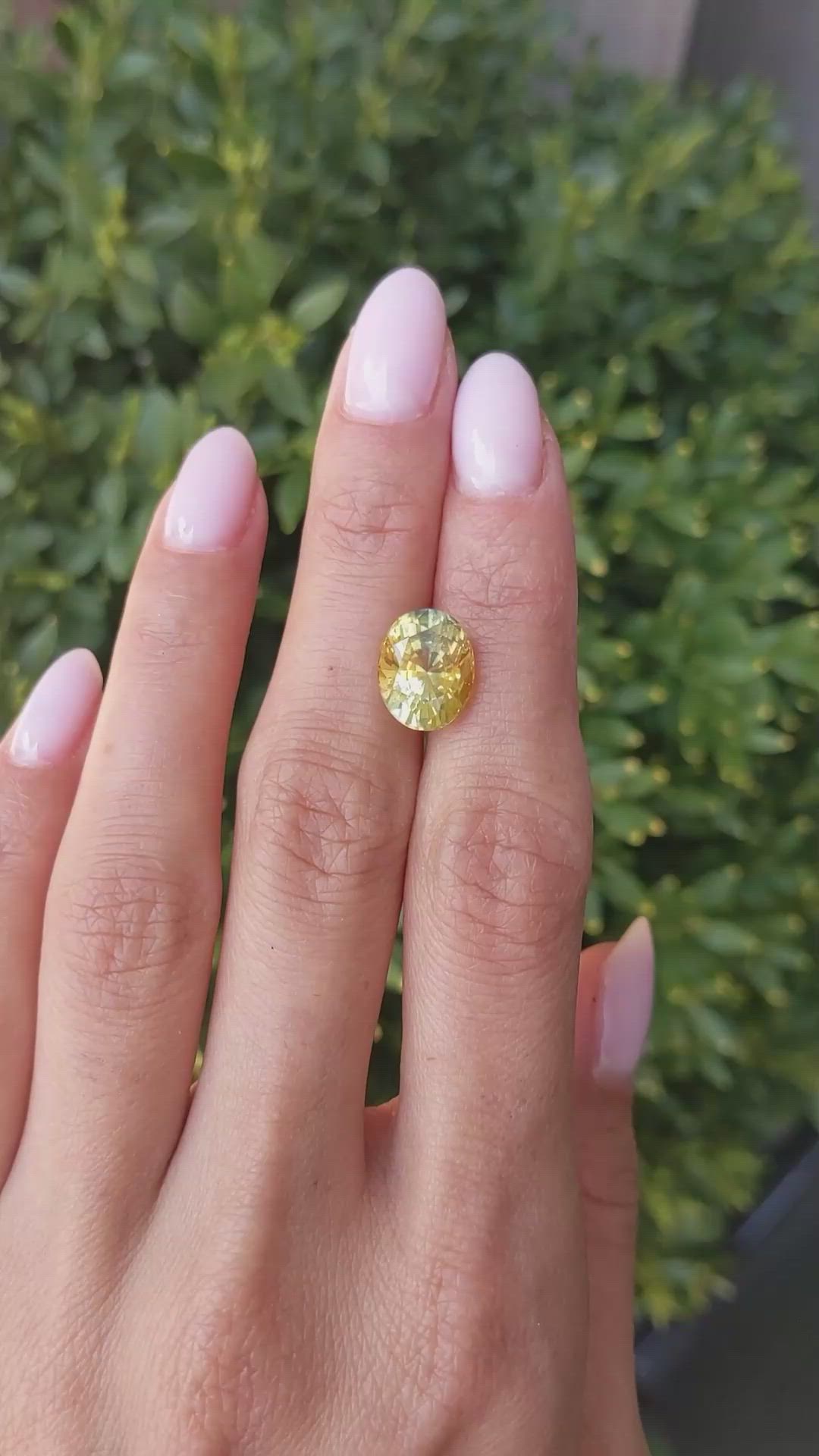 5.73 Ct. Yellow Sapphire from Ceylon (Sri Lanka) Size Video