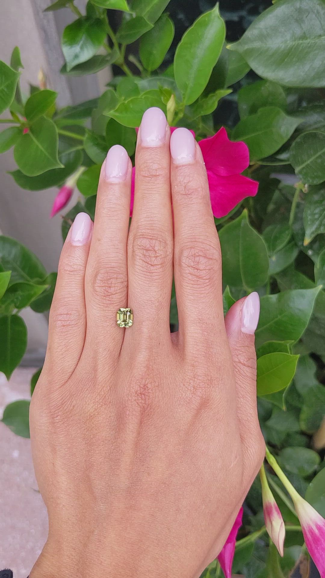 1.73 Ct. Bi Color Sapphire from Ceylon (Sri Lanka) Size Video