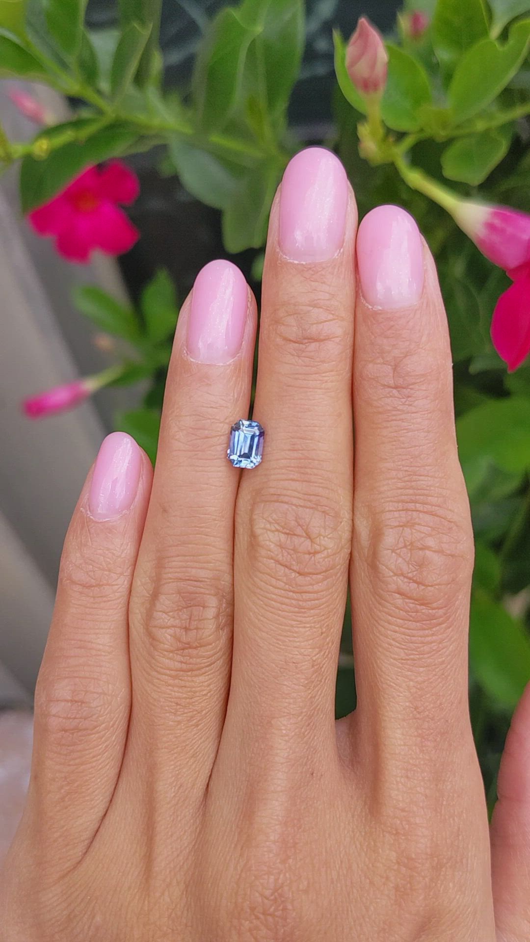 1.22 Ct. Bi Color Sapphire from Ceylon (Sri Lanka) Size Video