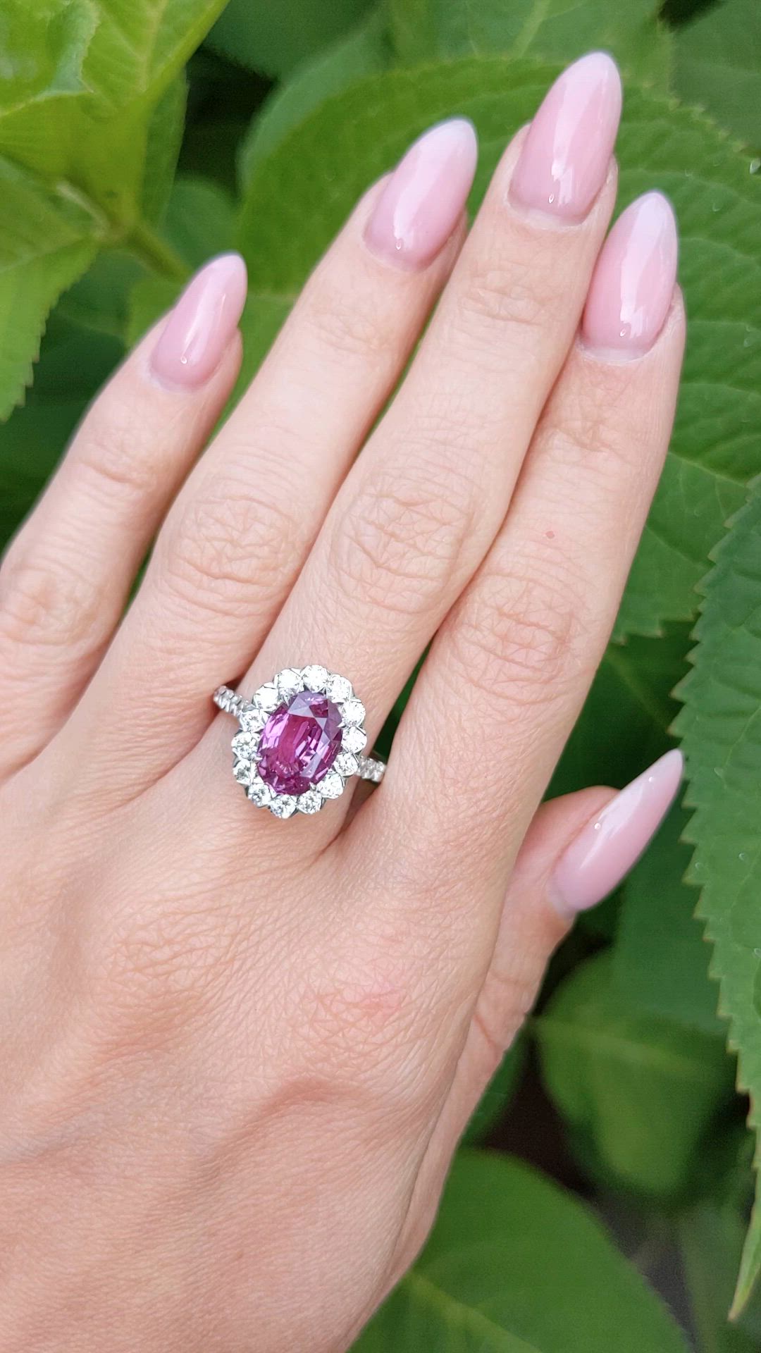 3.07 Ct. Pink Sapphire and Natural Diamond Pave Ring, 18K White Gold Size Video