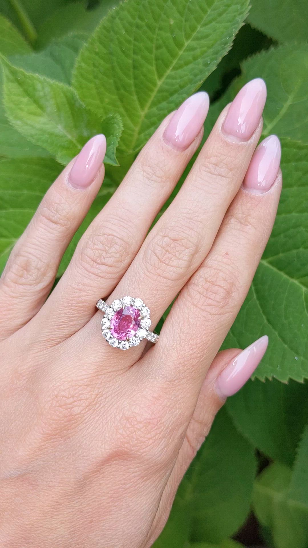 2.51 Ct. Pink Sapphire and Natural Diamond Pave Ring, 18K White & Yellow Size Video