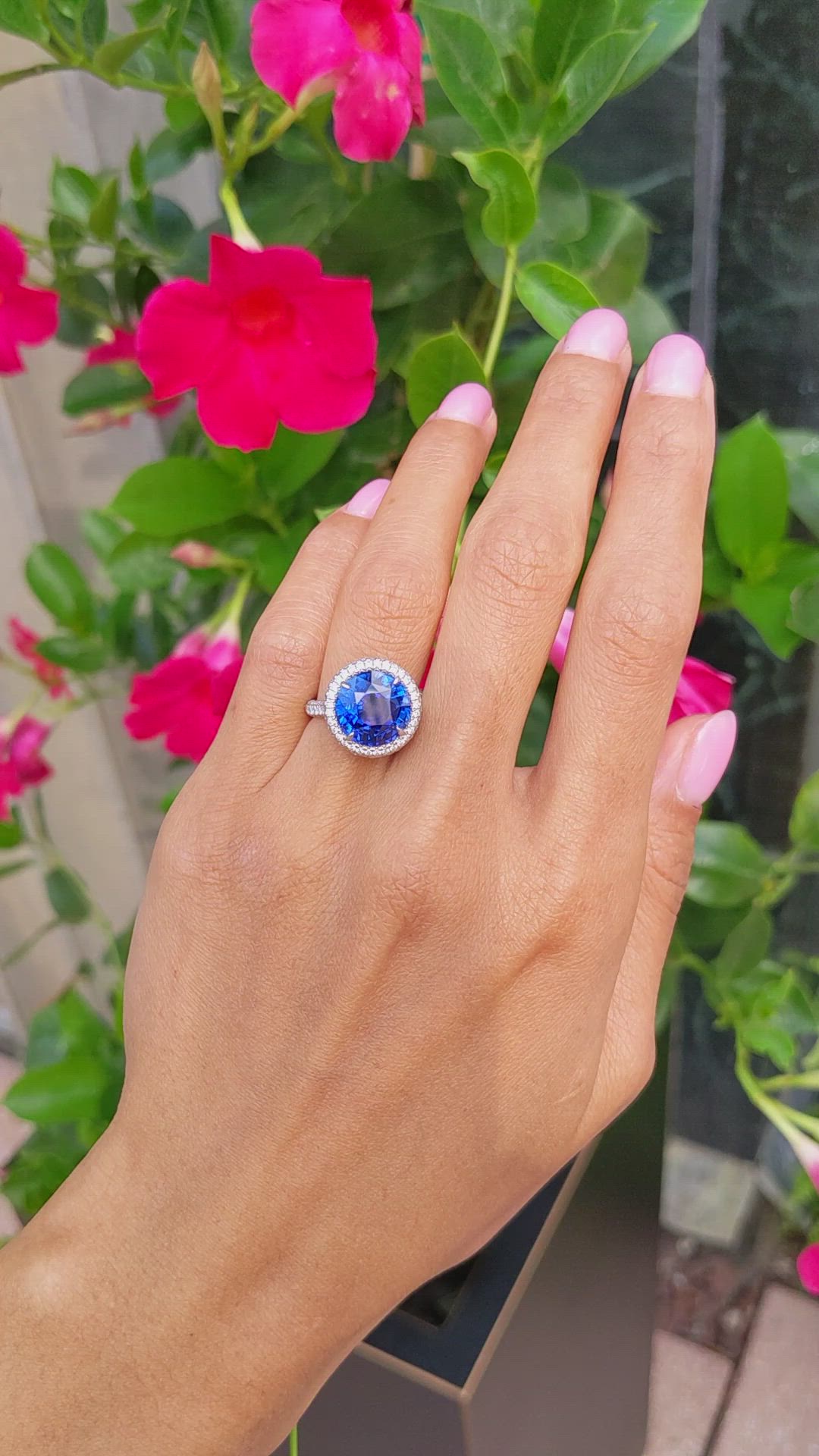6.01 Ct. Blue Sapphire and Natural Diamond Pave Ring, Platinum 950 Size Video