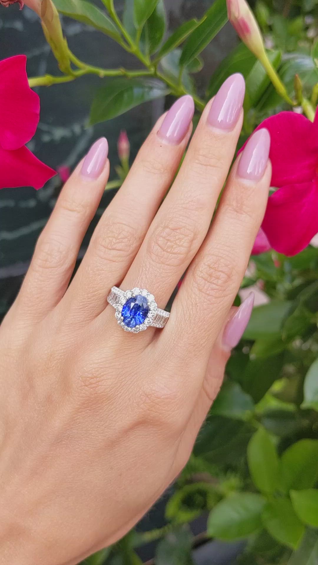 3.03 Ct. Blue Sapphire and Natural Diamond Pave Ring, 18K White Gold Size Video