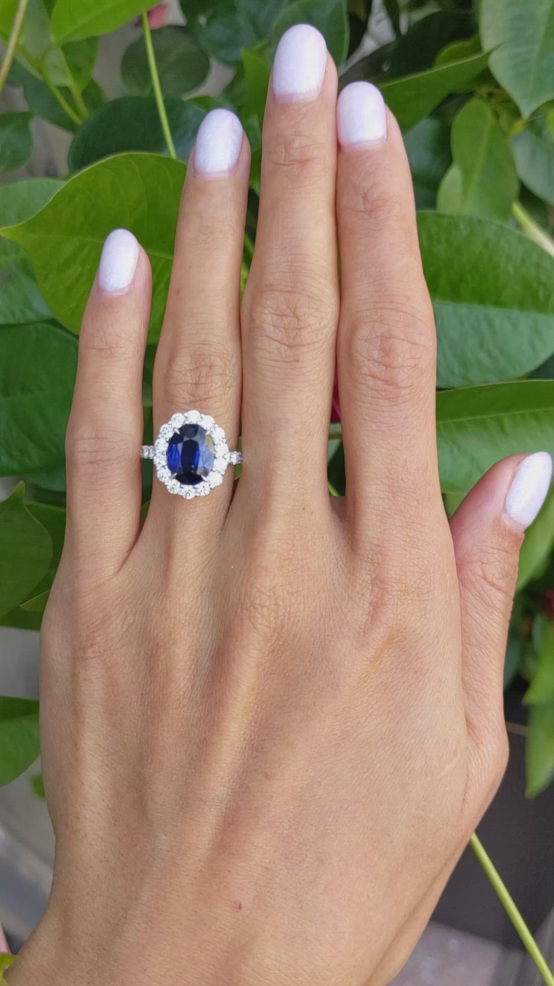 3.25 Ct. Blue Sapphire and Natural Diamond Pave Ring, 18K White Gold Size Video