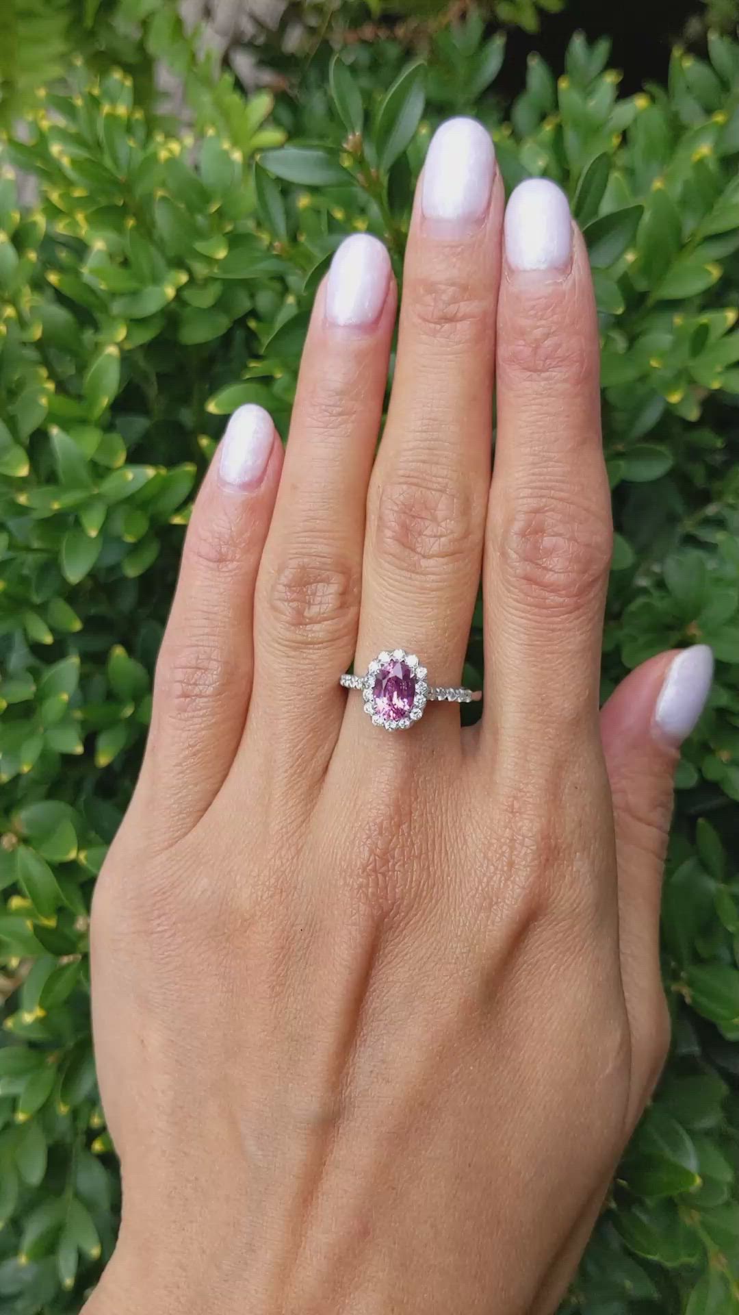 1.59 Ct. Pink Sapphire and Natural Diamond Pave Ring, 18K White Gold Size Video