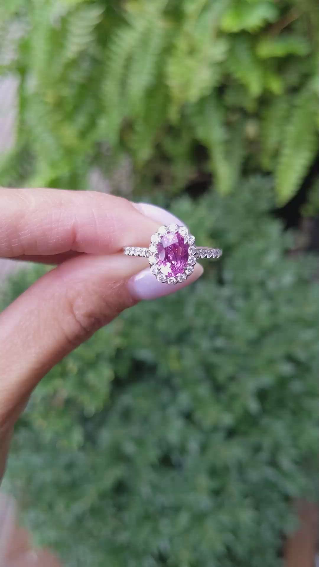 1.59 Ct. Pink Sapphire and Natural Diamond Pave Ring, 18K White Gold Size Video