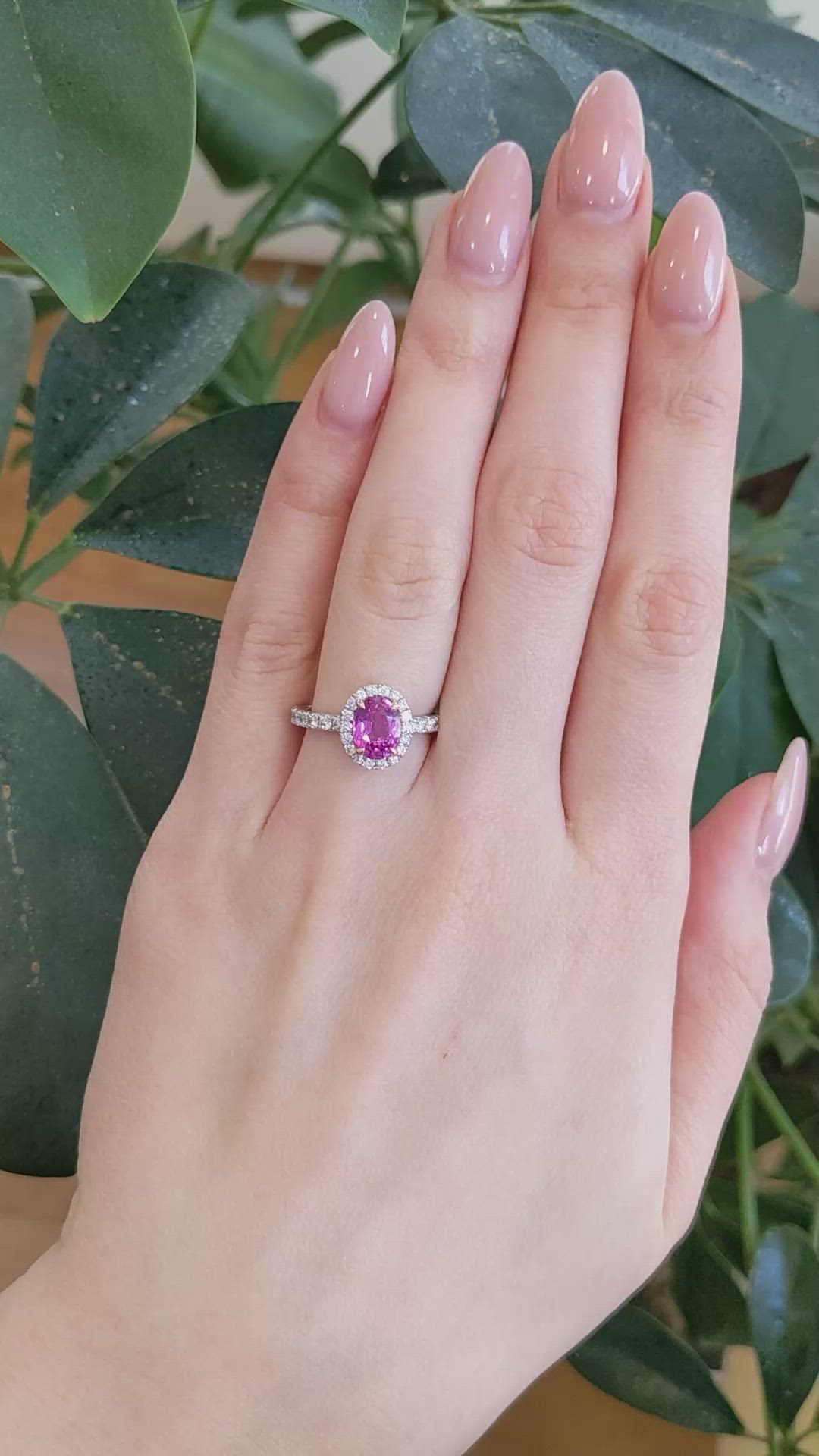 2.02 Ct. Pink Sapphire and Natural Diamond Pave Ring, 18K White & Yellow Size Video