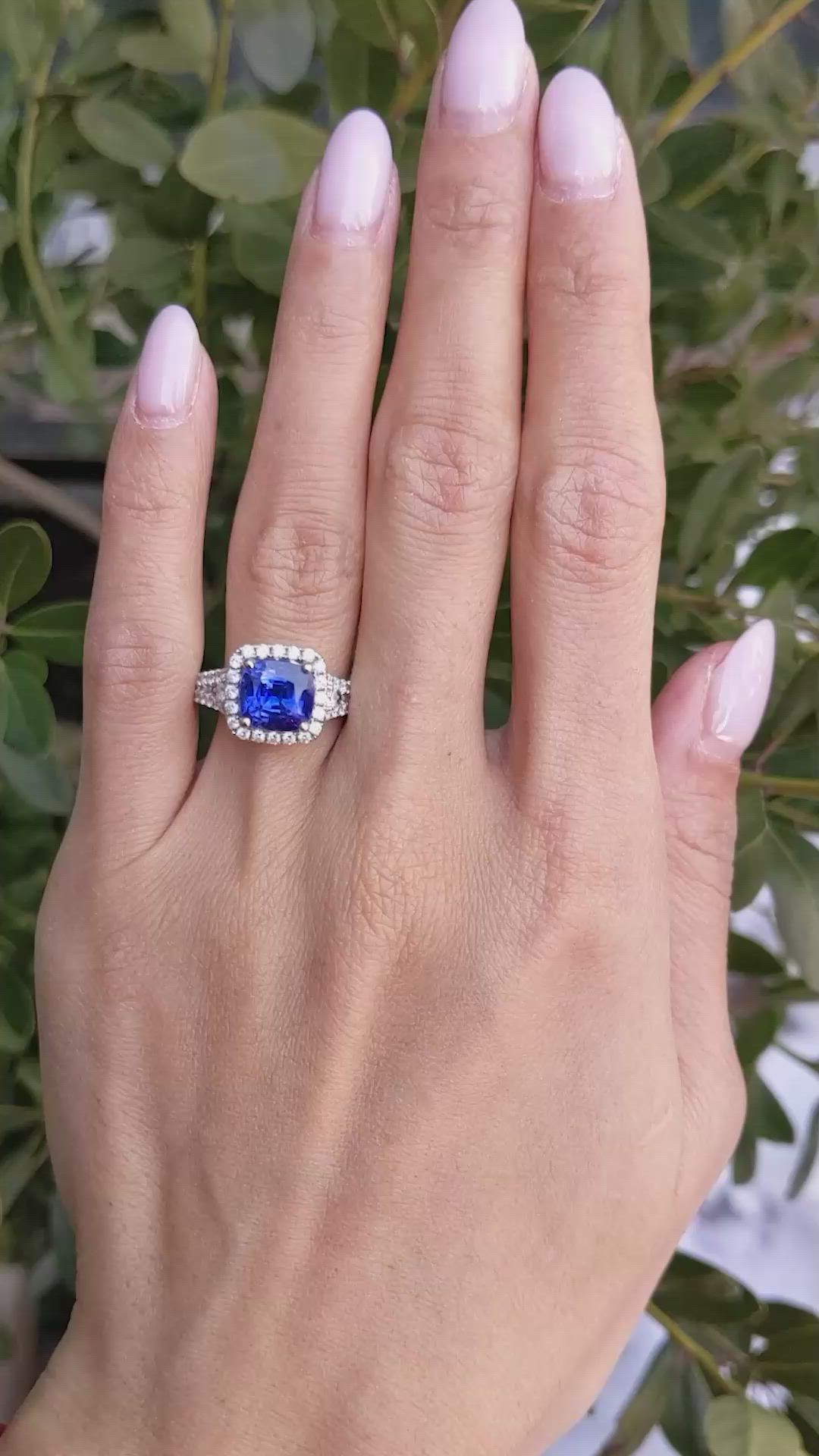 3.76 Ct. Blue Sapphire and Natural Diamond Pave Ring, 18K White Gold Size Video