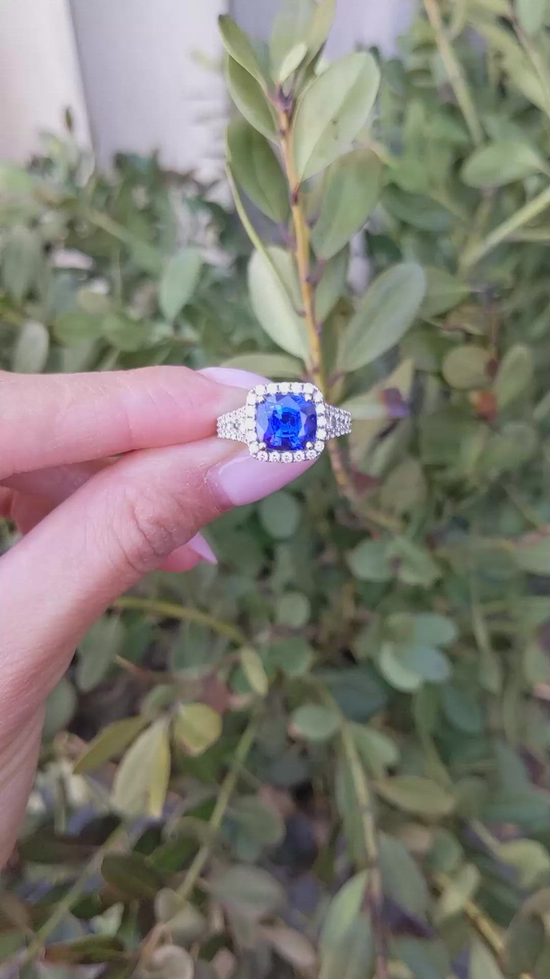 3.76 Ct. Blue Sapphire and Natural Diamond Pave Ring, 18K White Gold Size Video