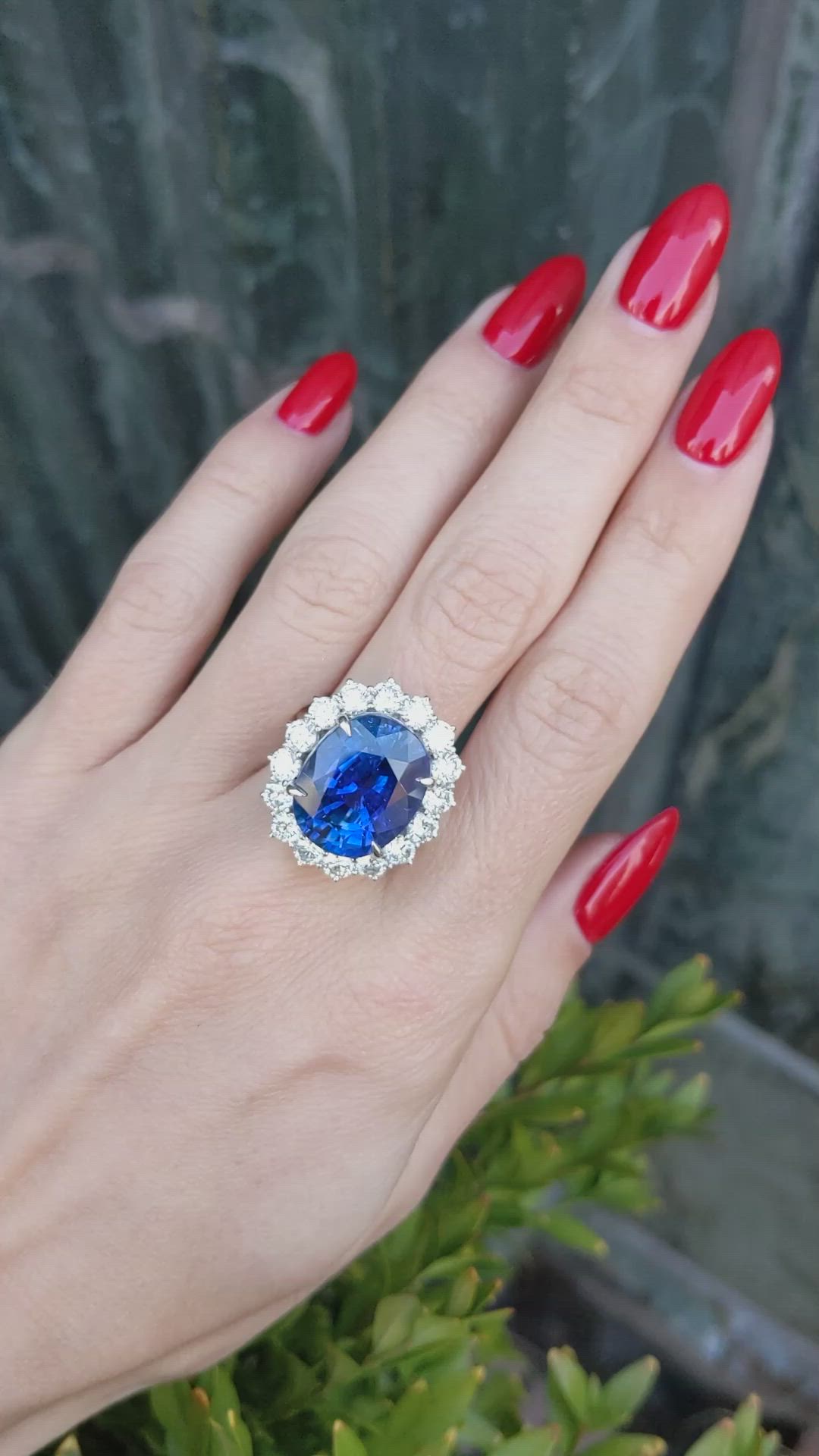 16.45 Ct. Blue Sapphire and Natural Diamond Pave Ring, 18K White Gold Size Video