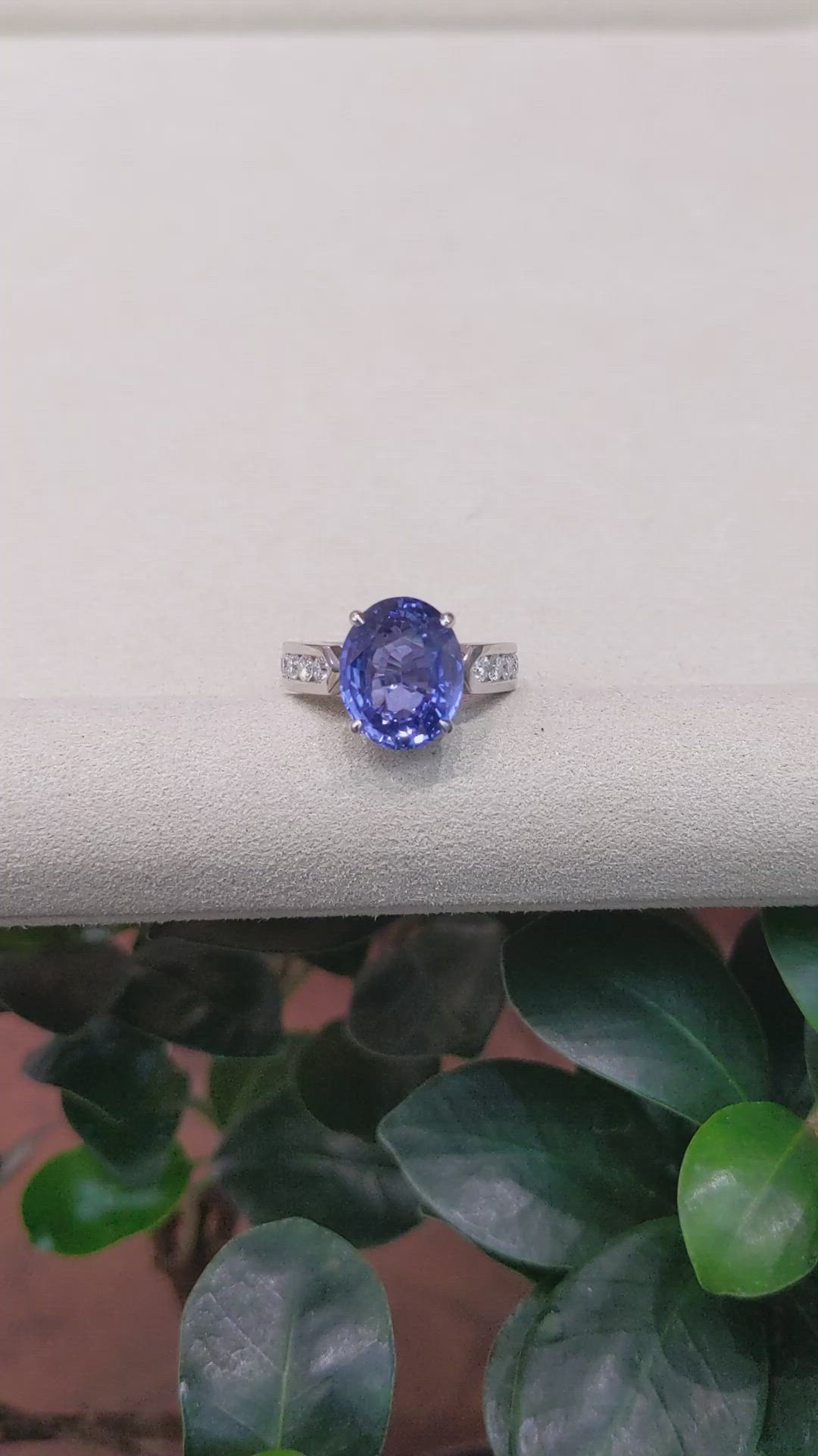 9.19 Ct. Blue Sapphire and Natural Diamond Pave Ring, Platinum 950 Size Video