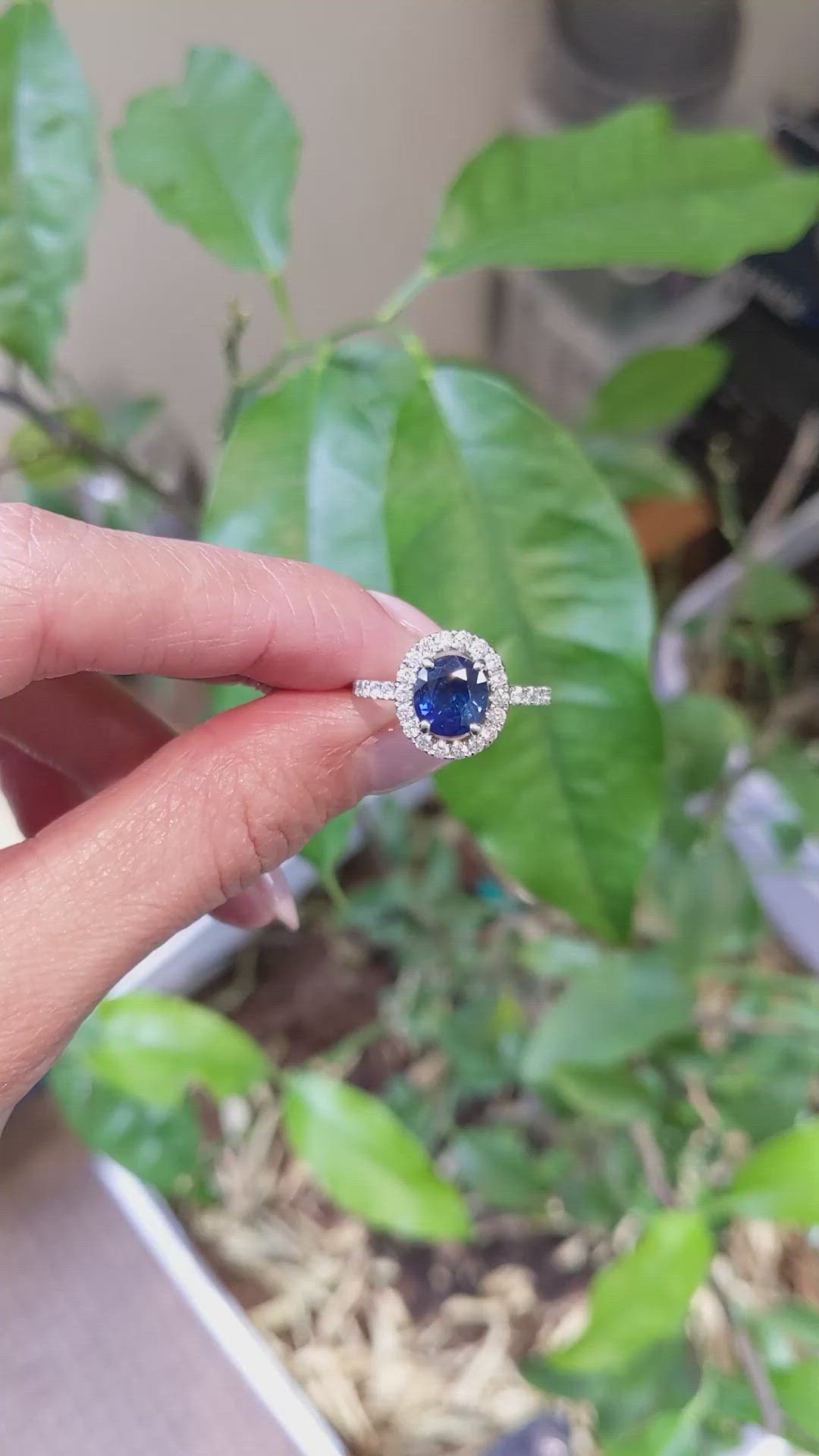 1.98 Ct. Blue Sapphire and Natural Diamond Pave Ring, 18K White Gold Size Video