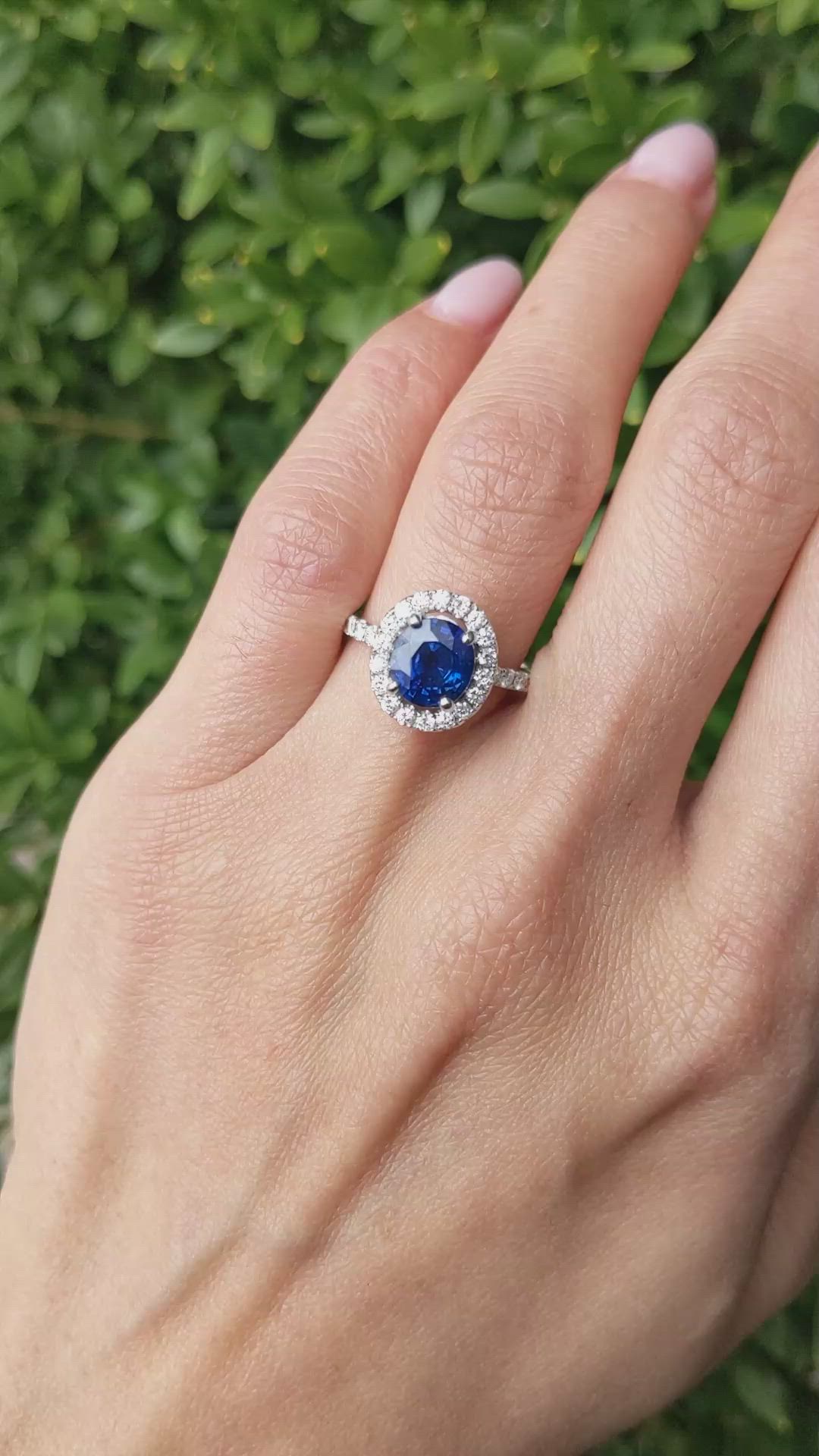 1.98 Ct. Blue Sapphire and Natural Diamond Pave Ring, 18K White Gold Size Video