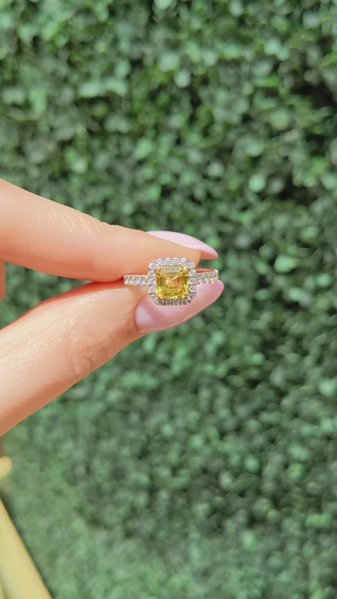 1.64 Ct. Yellow Sapphire and Natural Diamond Pave Ring, 18K White & Yellow Size Video