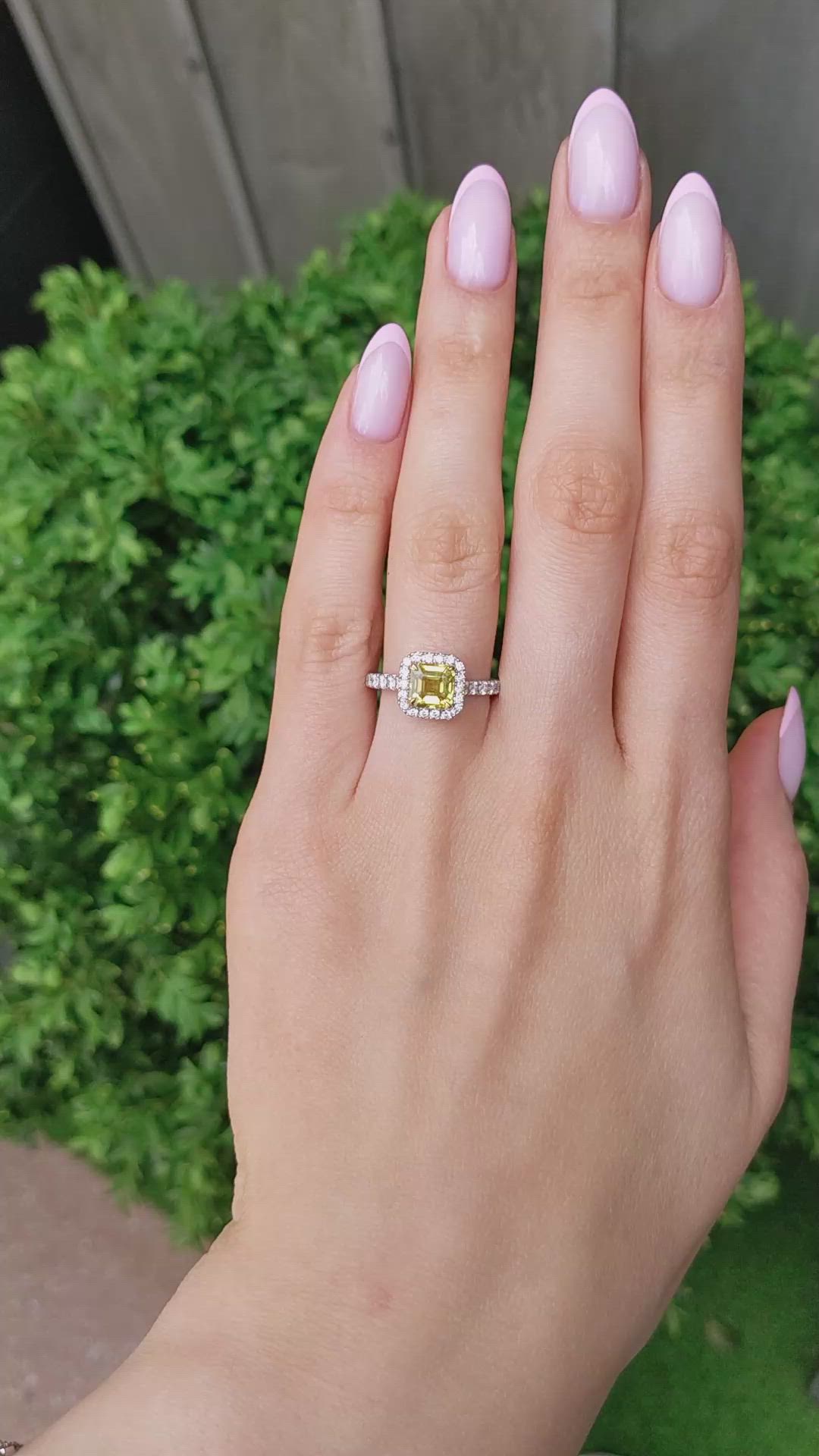 1.64 Ct. Yellow Sapphire and Natural Diamond Pave Ring, 18K White & Yellow Size Video