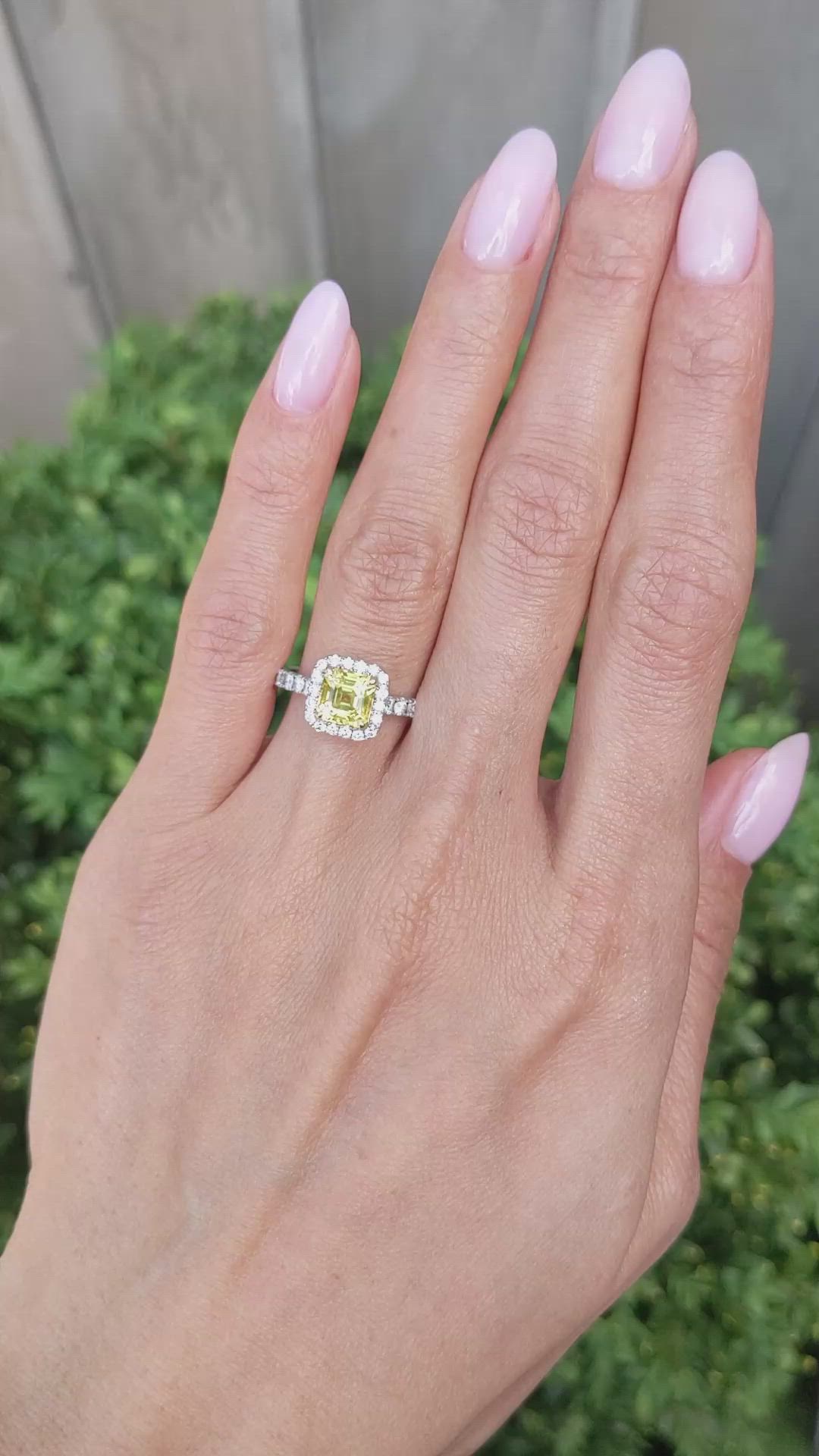 1.73 Ct. Yellow Sapphire and Natural Diamond Pave Ring, 18K White & Yellow Size Video