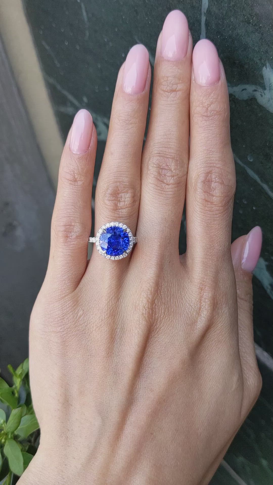 5.94 Ct. Blue Sapphire and Natural Diamond Pave Ring, 18K White Gold Size Video