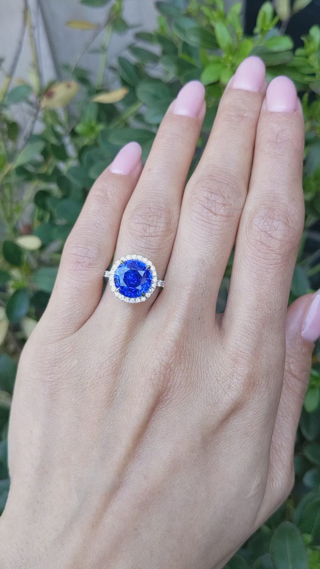 5.94 Ct. Blue Sapphire and Natural Diamond Pave Ring, 18K White Gold Size Video