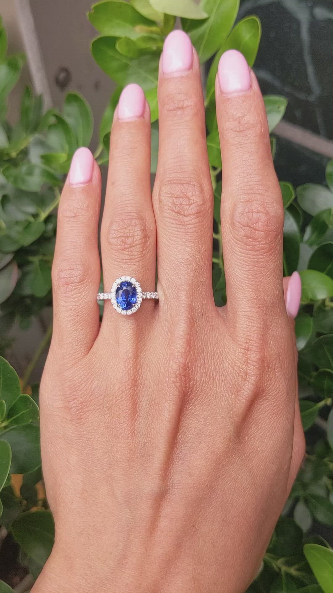 2.06 Ct. Blue Sapphire and Natural Diamond Pave Ring, 18K White Gold Size Video