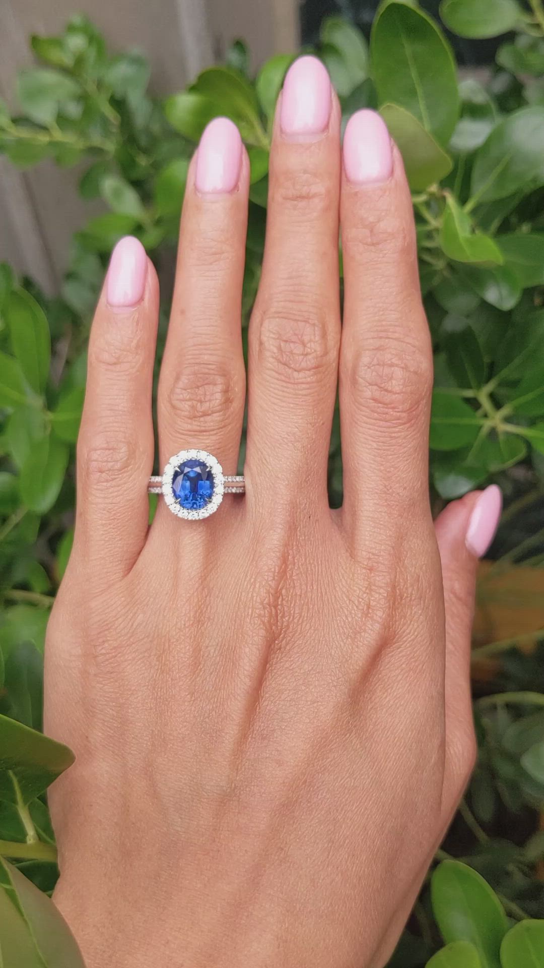 3.11 Ct. Blue Sapphire and Natural Diamond Pave Ring, 18K White Gold Size Video