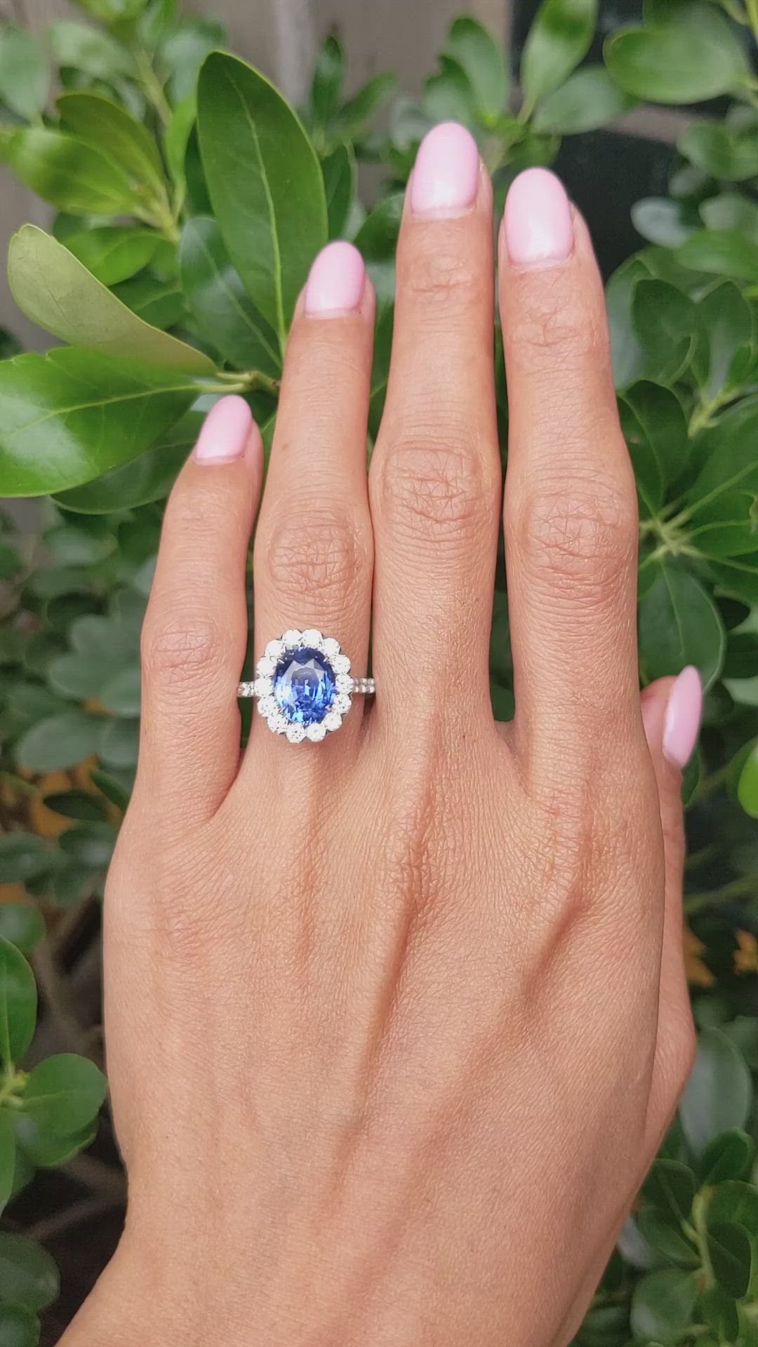 3.28 Ct. Blue Sapphire and Natural Diamond Pave Ring, 18K White Gold Size Video