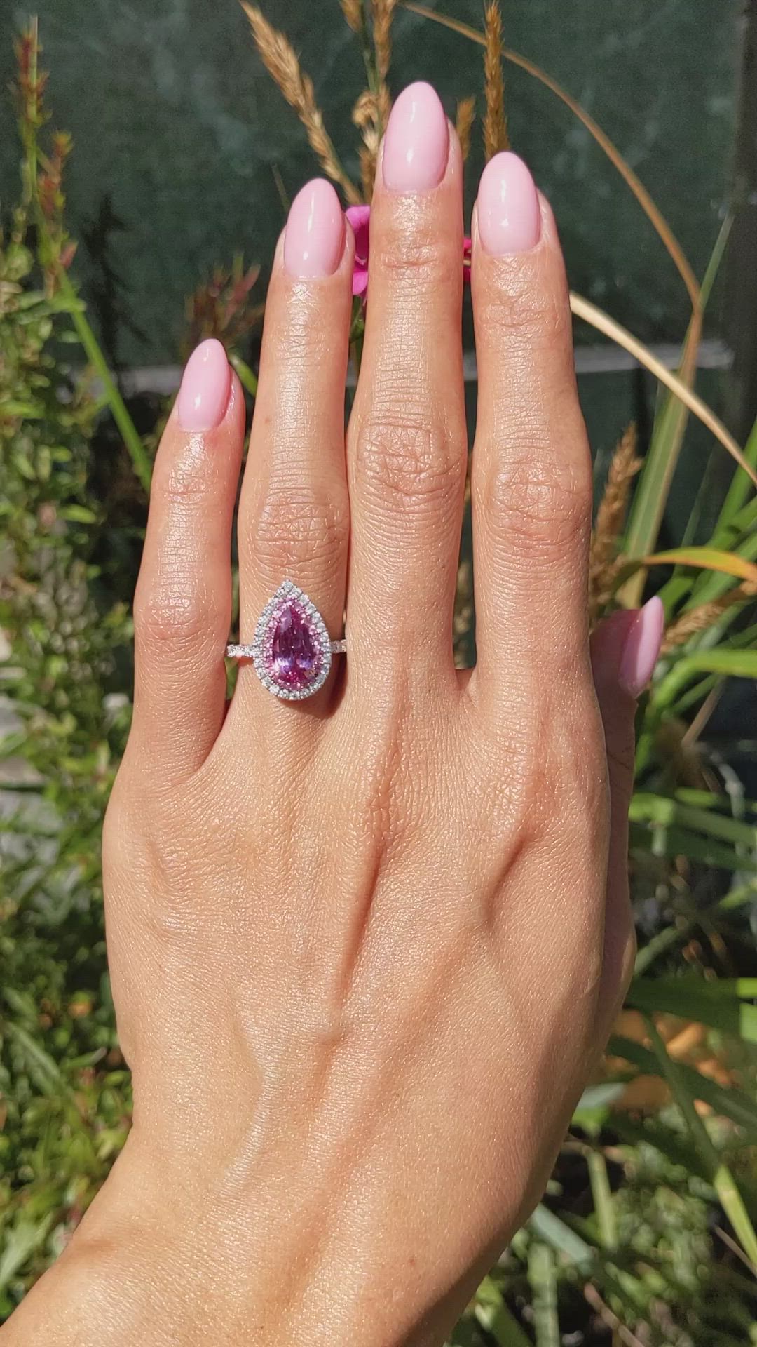 1.88 Ct. Pink Sapphire and Natural Diamond Pave Ring, 18K White & Yellow Size Video