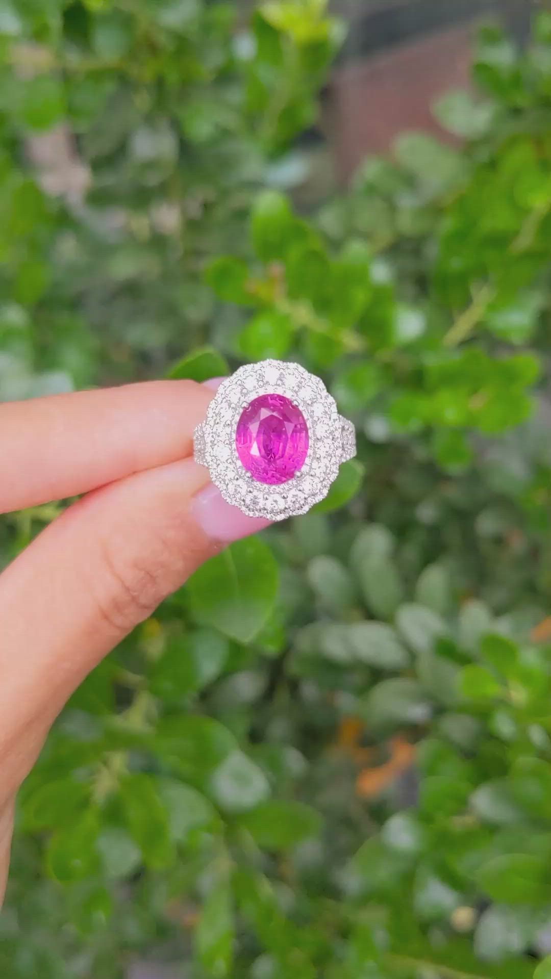 4.13 Ct. Pink Sapphire and Natural Diamond Pave Ring, 18K White Gold Size Video